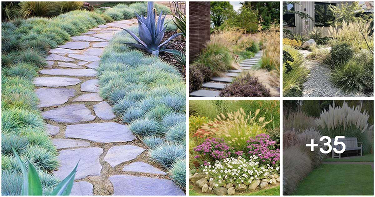 40 Fabulous Garden Designs with Ornamental Grasses