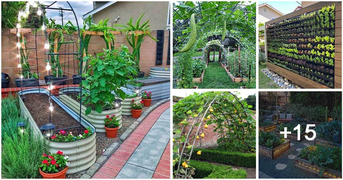 20 Easy DIY Gardening Ideas with Vegetables That Surprised You