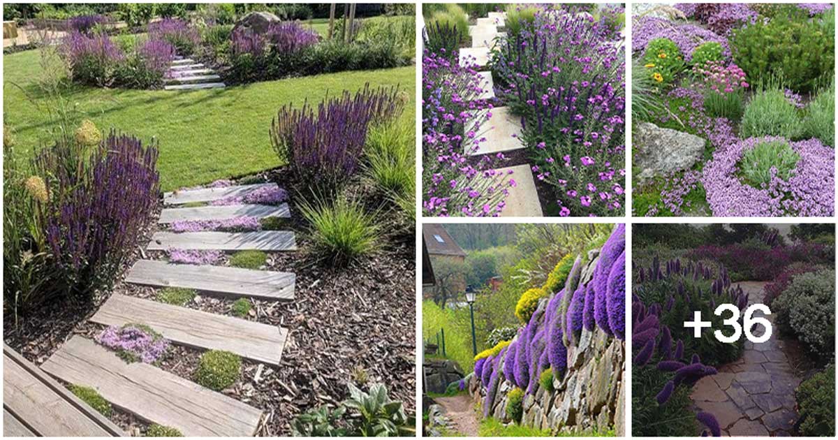 41 Stunning Yard Landscaping Ideas with Purple Plants