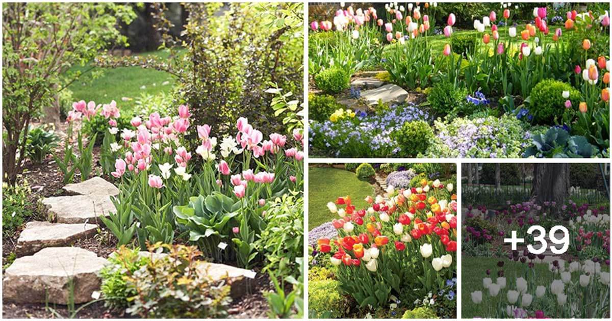 43 Shimmering Blooming Gardens with Tulips