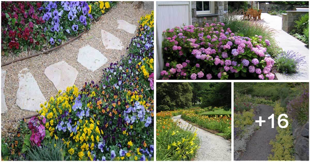 20 Colorful Plants with Bright Flowers for Your Walkways