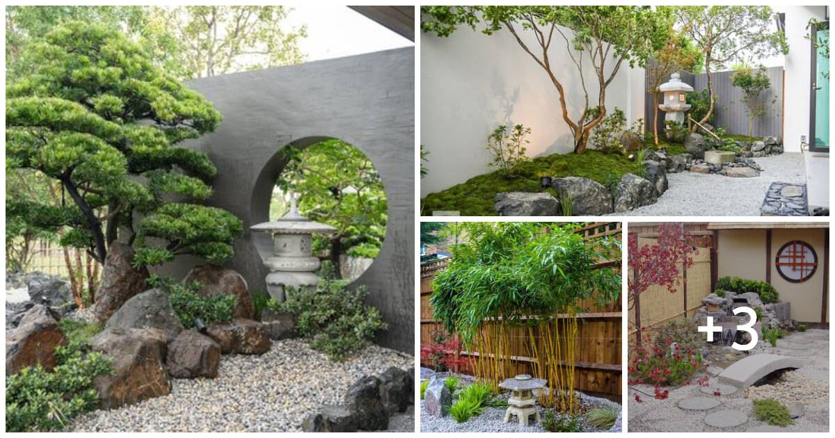 7 Steps To Create A Japanese Garden Transform Your Space Into A Serene Oasis