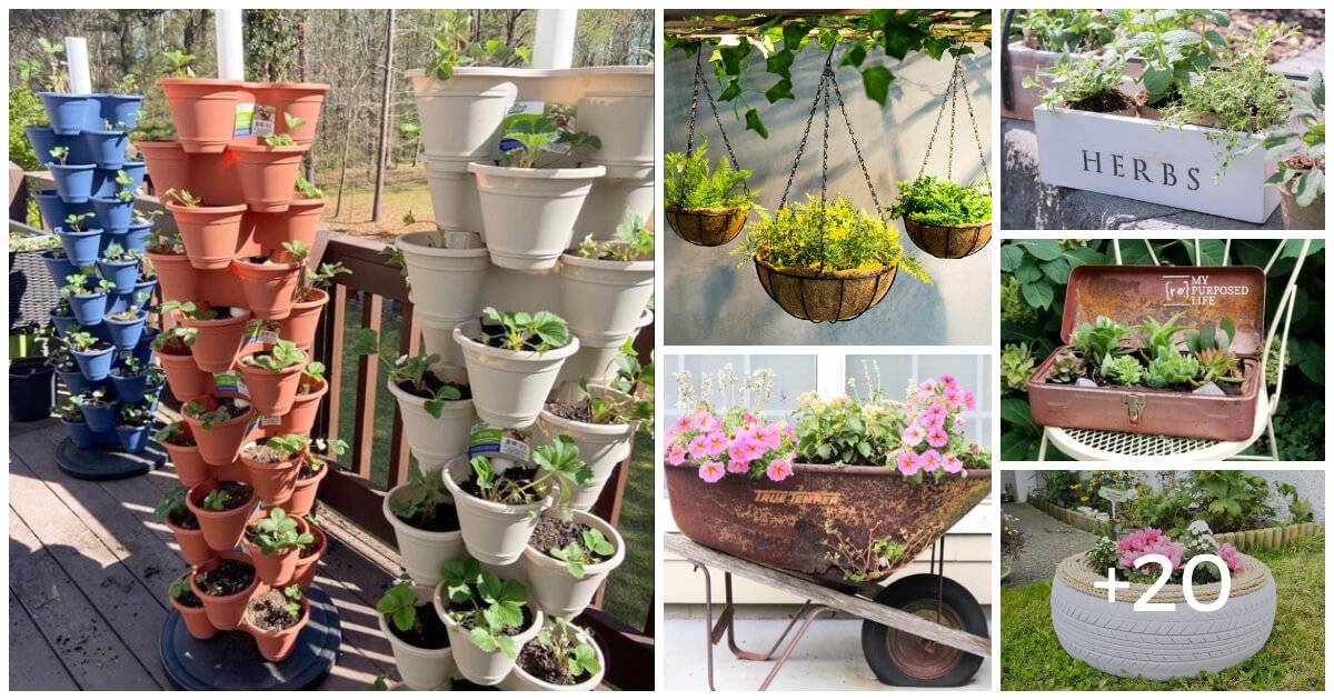 Modern Garden Pot Ideas