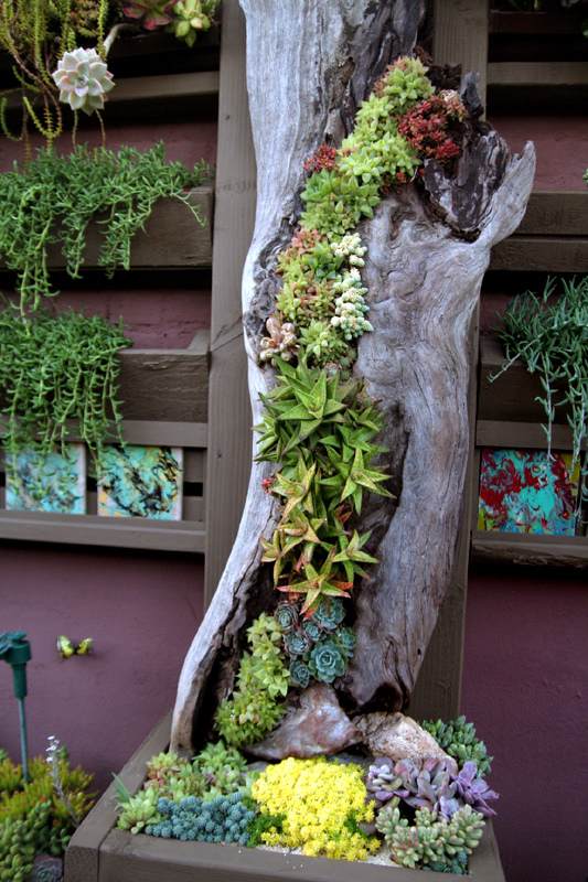 20 Great Ways To Decorate Succulents Indoor Garden - 129