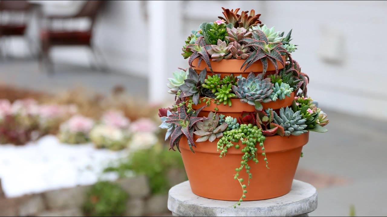 20 Great Ways To Decorate Succulents Indoor Garden - 133
