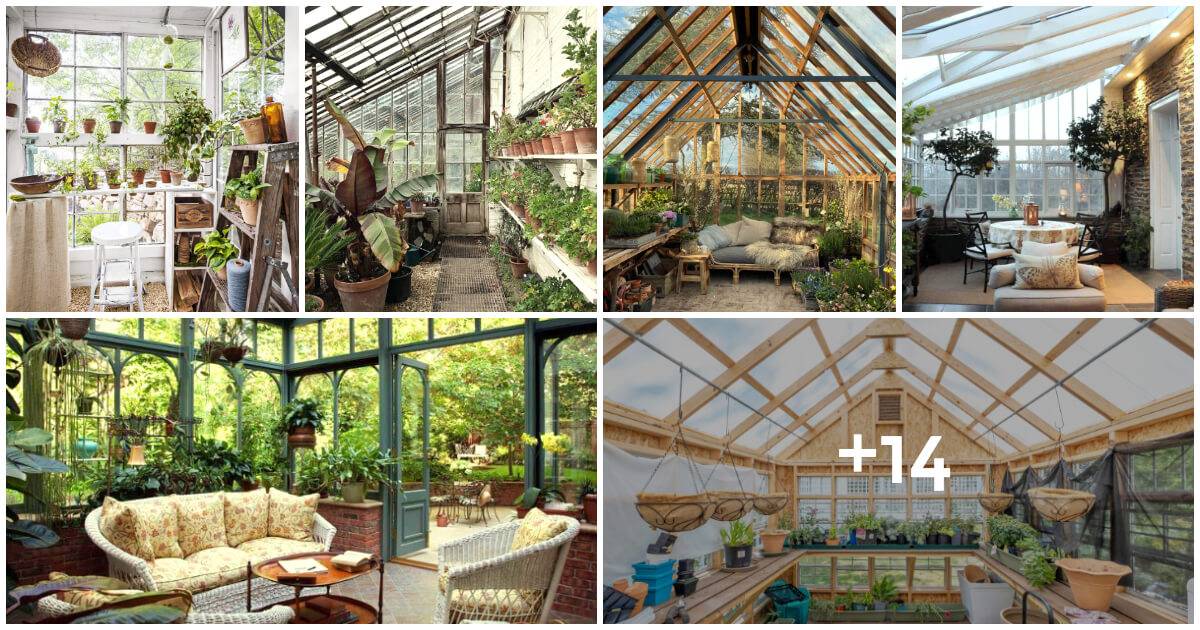 20 Innovative Greenhouse Concepts That Push The Boundaries Of Backyard