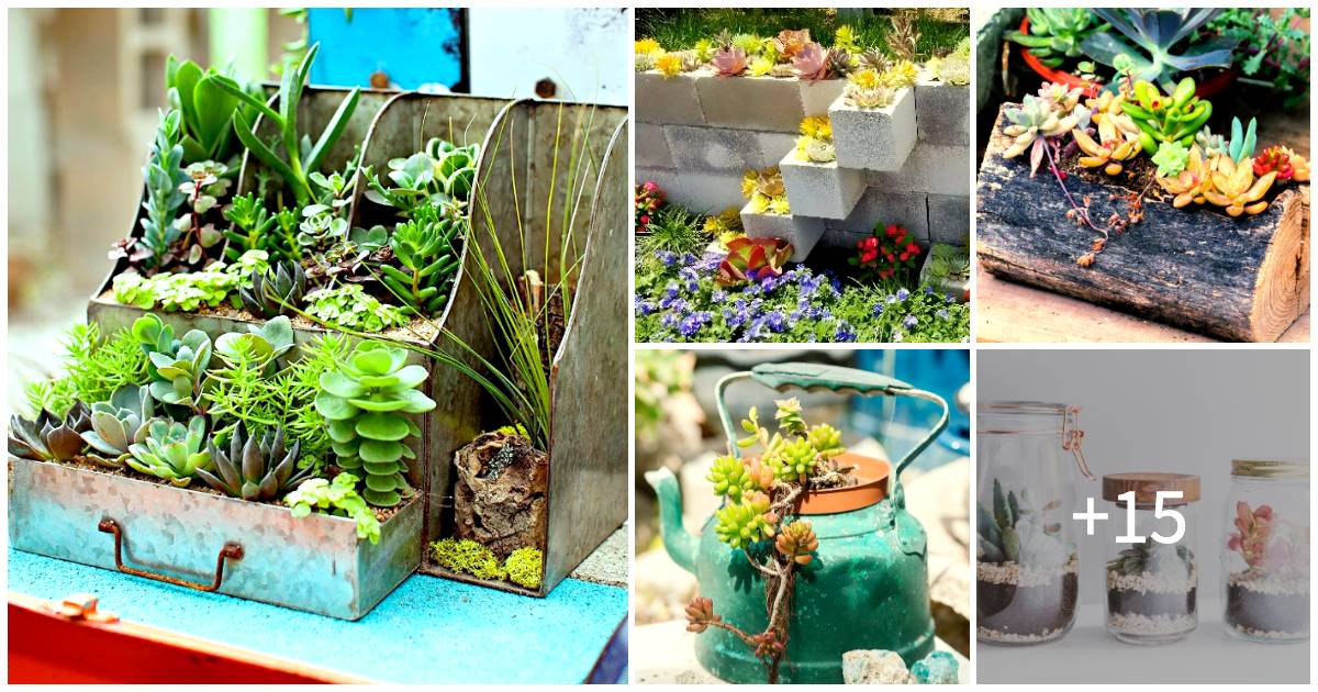 20 Unique And Whimsical DIY Succulent Planter Ideas For A Charming Home