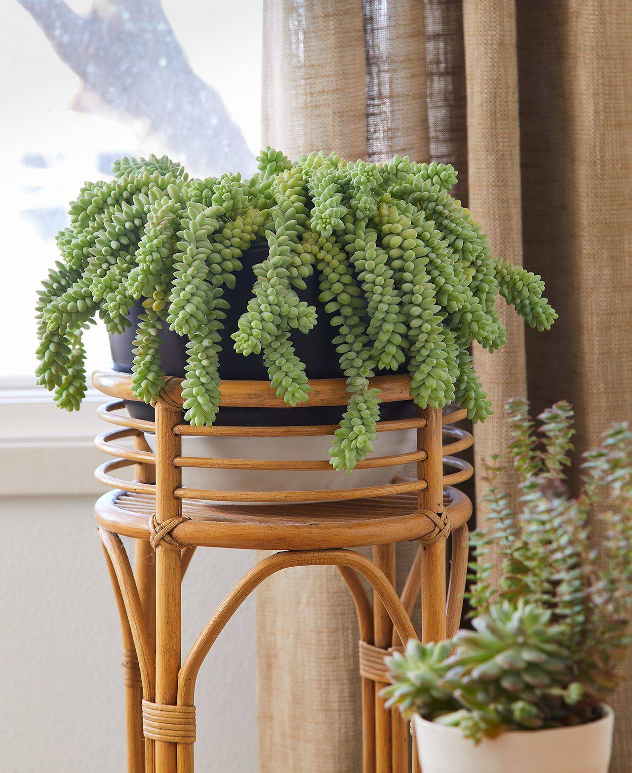 20 Great Ways To Decorate Succulents Indoor Garden - 141