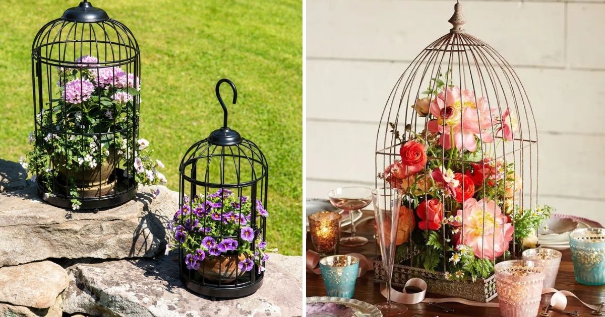 Enchant Your Kitchen Space With Beautiful Flower-Filled Cages