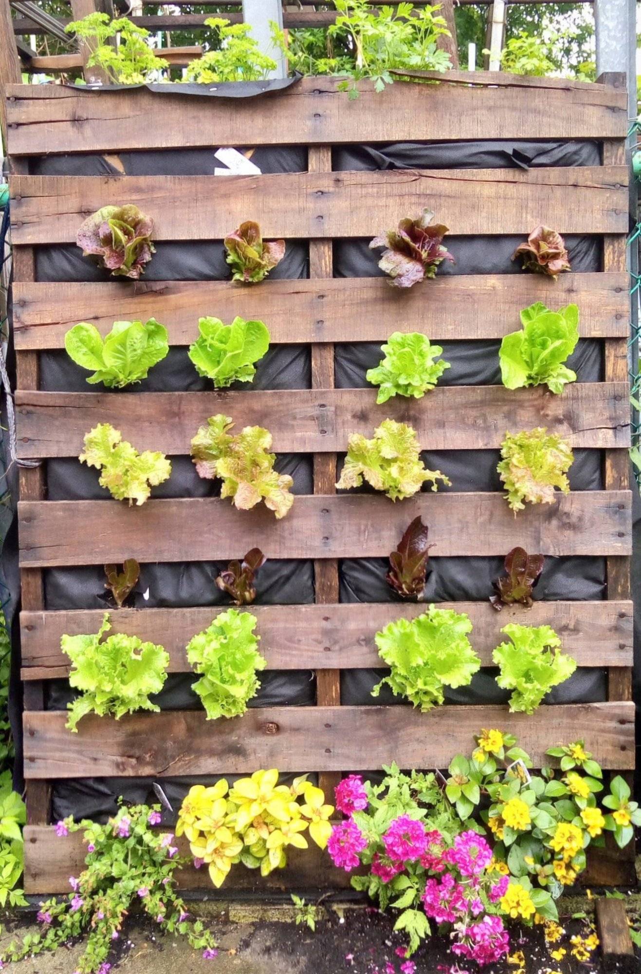32 Wall Garden Planter Ideas For Vertical Gardening - 237