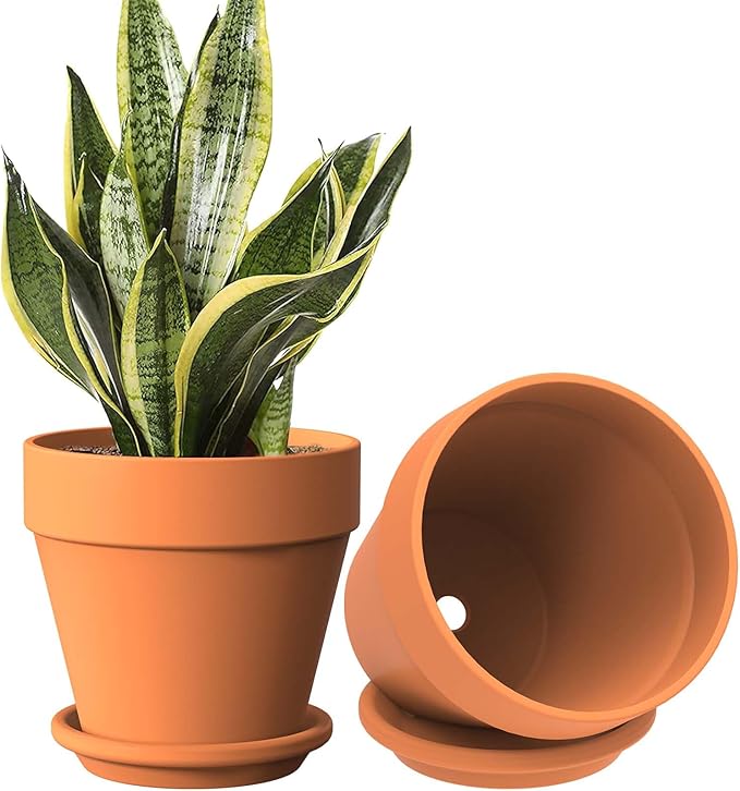 Shop terracotta flower pot