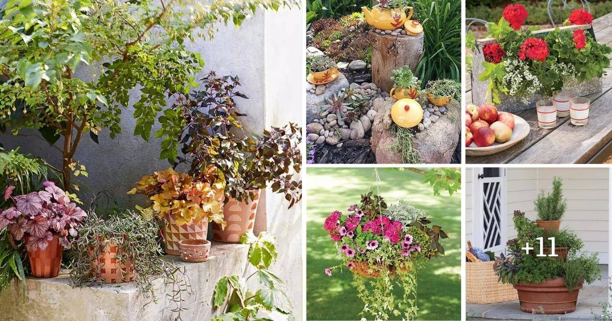 16 Unique Garden Containers To Elevate Your Landscape