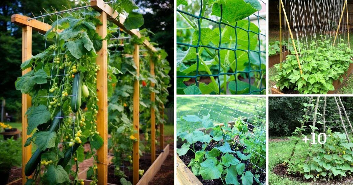 15 DIY Cucumber Trellis Ideas To Maximize Your Garden's Potential