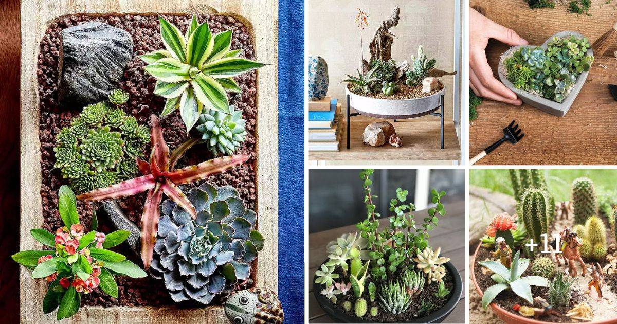 15 Mesmerizing Cactus and Succulent Dish Garden Ideas