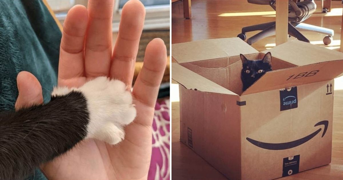 25+ Brilliant DIY Recycled Hand Tool Ideas to Revamp Your Next Projects