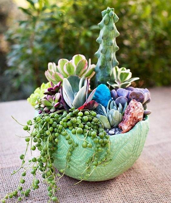 15 Mesmerizing Cactus and Succulent Dish Garden Ideas - 103