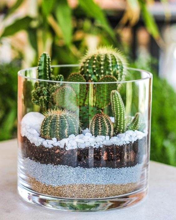 15 Mesmerizing Cactus and Succulent Dish Garden Ideas - 127