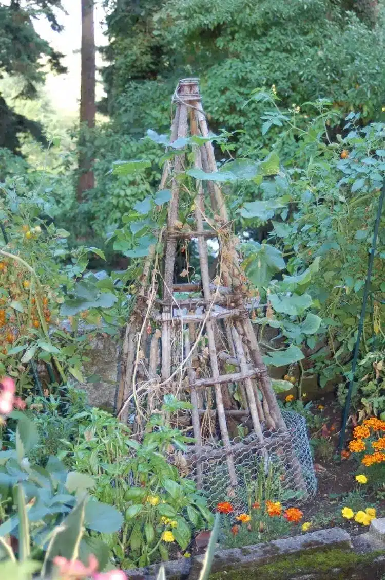 15 DIY Cucumber Trellis Ideas To Maximize Your Garden's Potential - 109