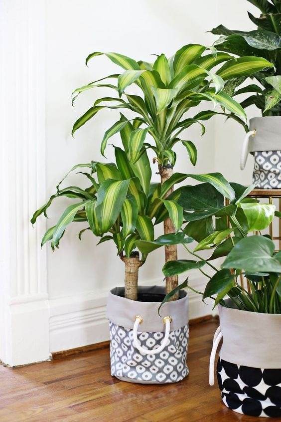 20 DIY Planter Ideas To Spruce Up Your Home On A Budget - 153