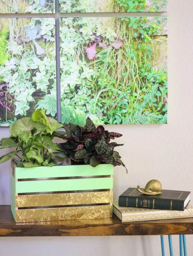 20 DIY Planter Ideas To Spruce Up Your Home On A Budget - 159