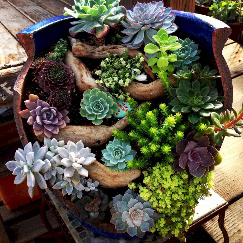 15 Ideas To Transform Broken Pots Into Succulent Garden Castles - 119