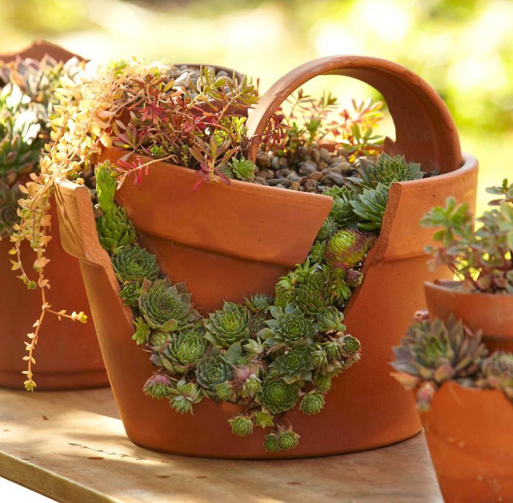 15 Ideas To Transform Broken Pots Into Succulent Garden Castles - 129