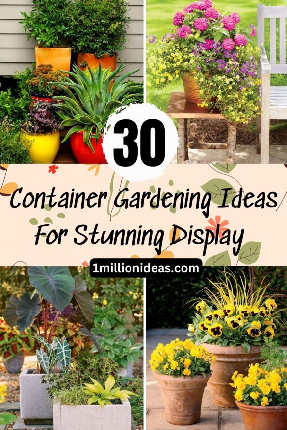 30 Container Gardening Ideas For Stunning Displays