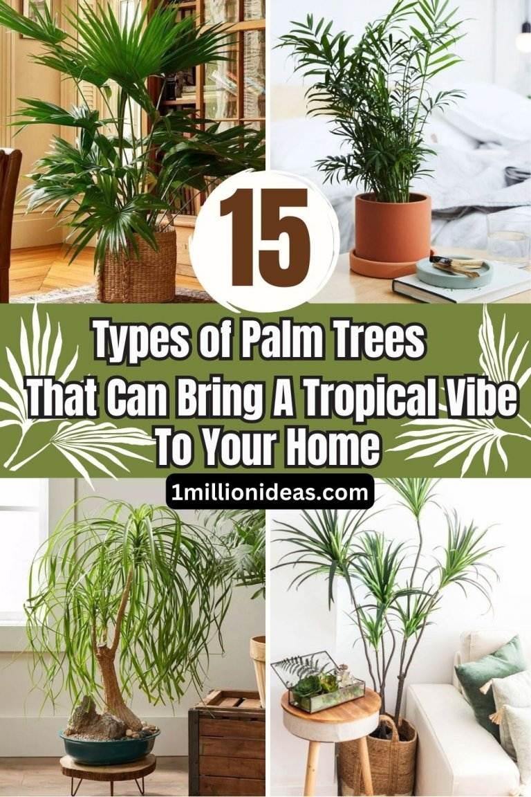 15 Types of Palm Trees That Can Bring A Tropical Vibe To Your Home