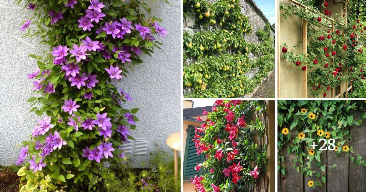 33 Retaining Wall Ideas To Add Some Charm And Character To Your Garden