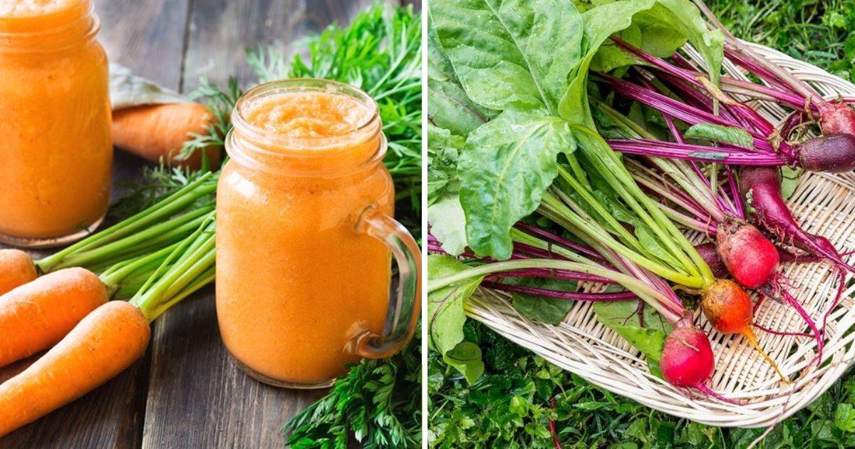9 Incredible Ways Carrot Juice Benefits Your Garden