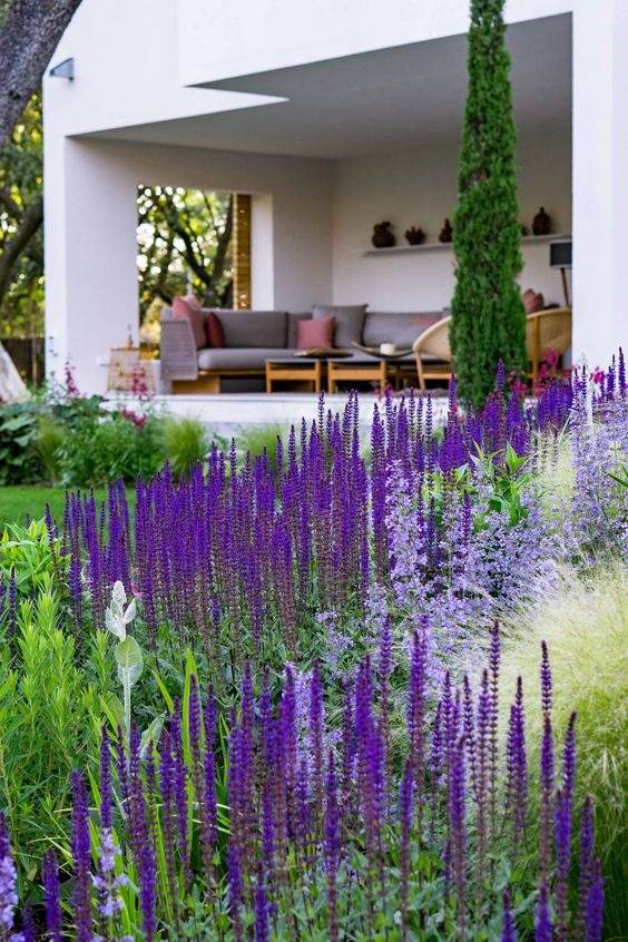 30 Enchanting Landscaping Ideas With Gorgeous Purple Plants - 233