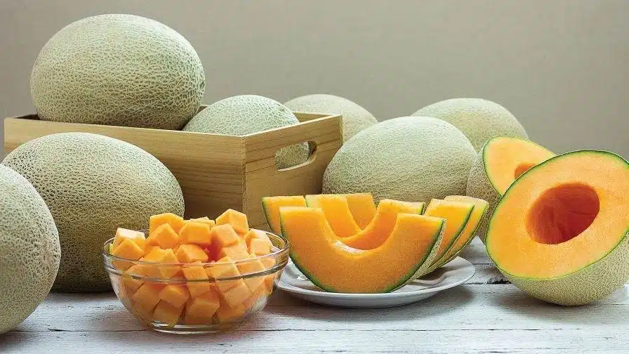 8 Tips And Tricks To Grow Cantaloupe That Will Surprise You - 61