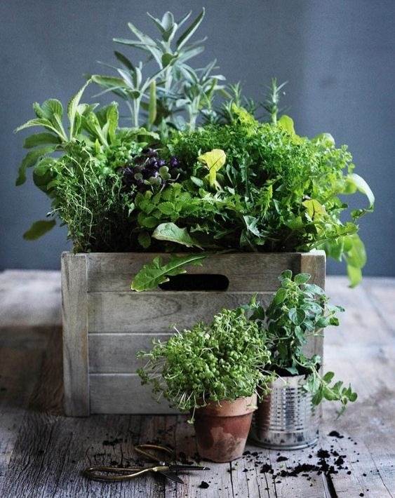 20 DIY Planter Ideas To Spruce Up Your Home On A Budget - 149