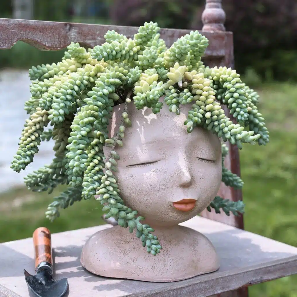 30 Face Planters That Will Make You Smile: From Funny To Fierce - 198 30 Face Planters That Will Make You Smile: From Funny To Fierce - 197