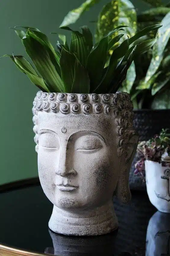 30 Face Planters That Will Make You Smile: From Funny To Fierce - 204 30 Face Planters That Will Make You Smile: From Funny To Fierce - 203
