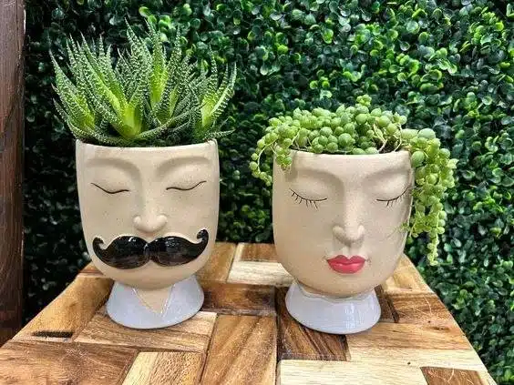 30 Face Planters That Will Make You Smile: From Funny To Fierce - 210 30 Face Planters That Will Make You Smile: From Funny To Fierce - 209