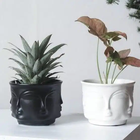 30 Face Planters That Will Make You Smile: From Funny To Fierce - 212 30 Face Planters That Will Make You Smile: From Funny To Fierce - 211