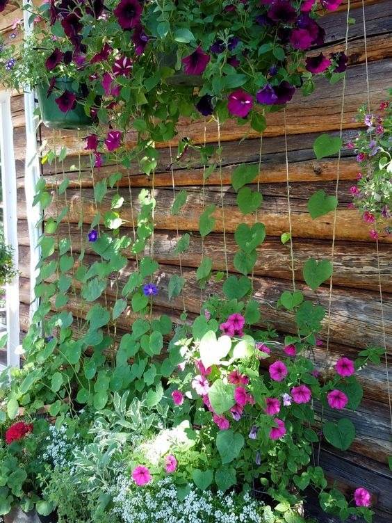 33 Garden Fence Ideas Adorned With Stunning Flowers - 219