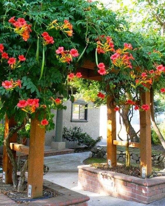 33 Garden Fence Ideas Adorned With Stunning Flowers - 223