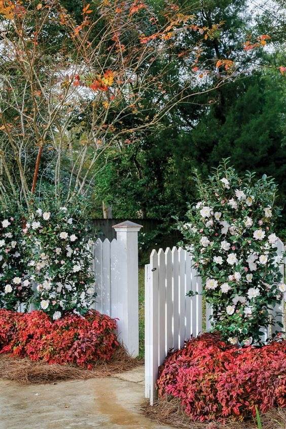 33 Garden Fence Ideas Adorned With Stunning Flowers - 249