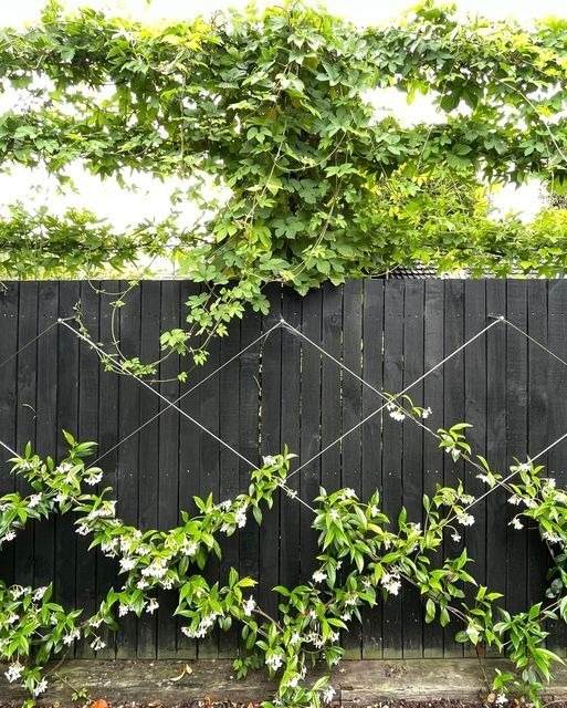 33 Garden Fence Ideas Adorned With Stunning Flowers - 251