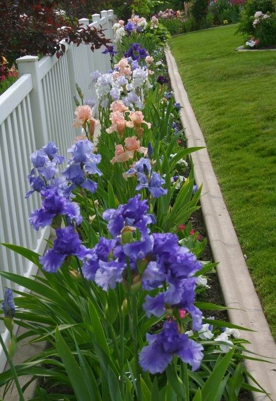 33 Garden Fence Ideas Adorned With Stunning Flowers - 255