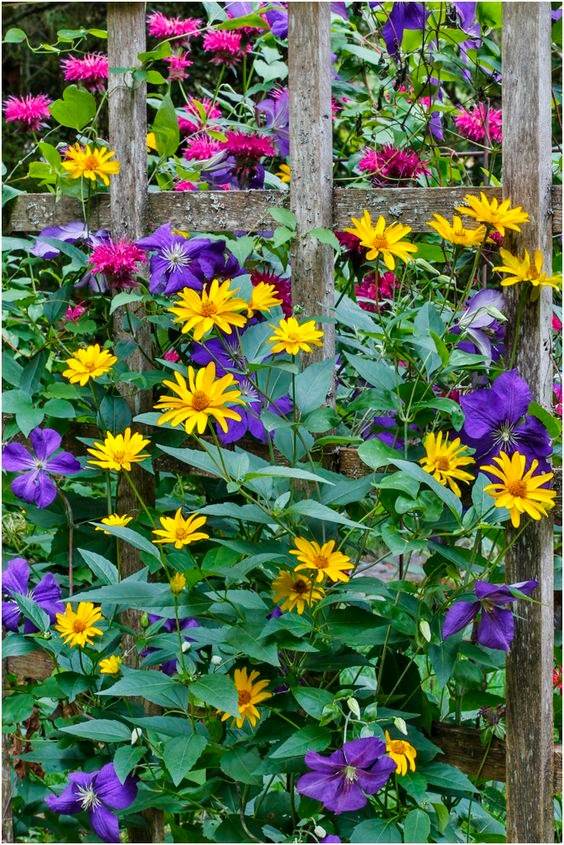 33 Garden Fence Ideas Adorned With Stunning Flowers - 271