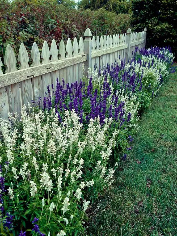 33 Garden Fence Ideas Adorned With Stunning Flowers - 243