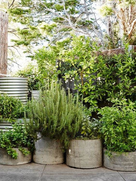 35 Whimsical Ideas That Will Elevate Your Garden To New Heights - 227