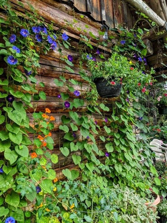 33 Retaining Wall Ideas To Add Some Charm And Character To Your Garden - 219