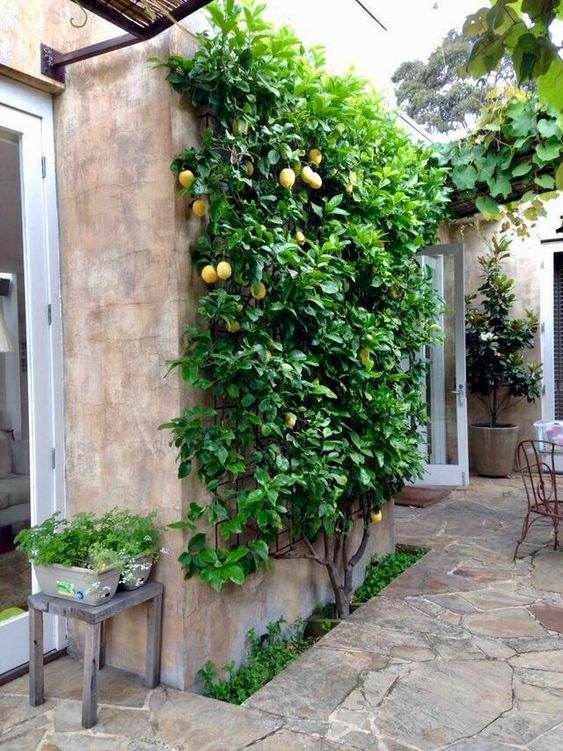 33 Retaining Wall Ideas To Add Some Charm And Character To Your Garden - 235