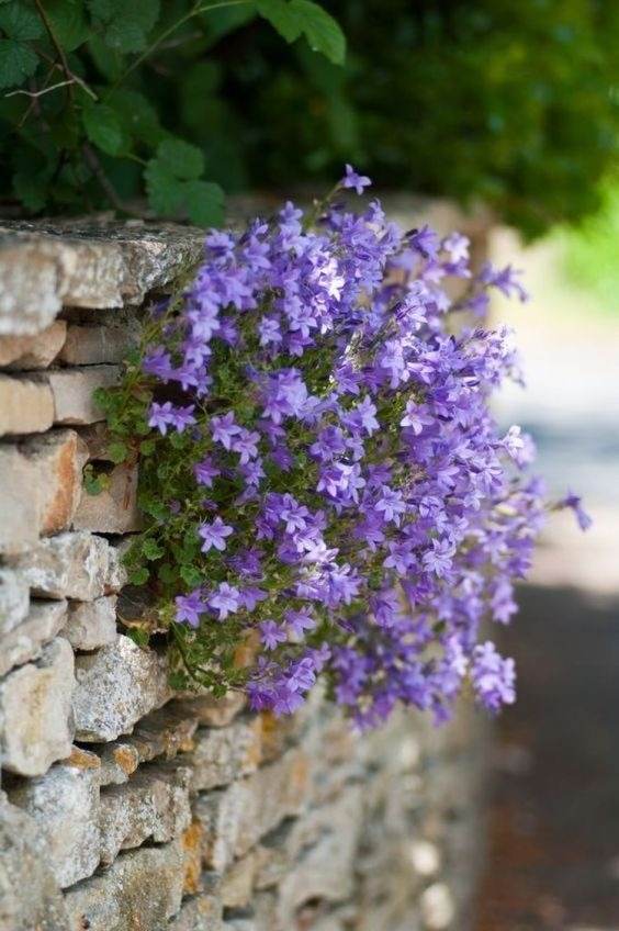 33 Retaining Wall Ideas To Add Some Charm And Character To Your Garden - 239