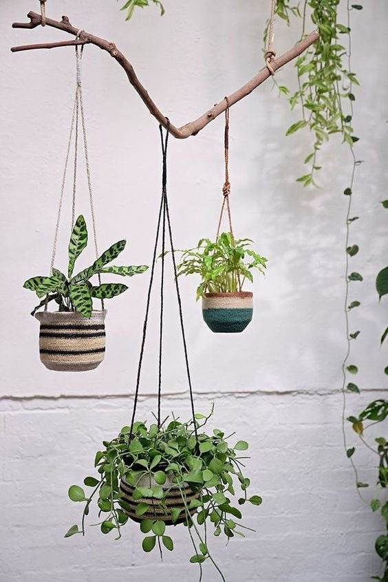 35 Inspiring Garden Ideas For Wannabe Plant Parents - 229