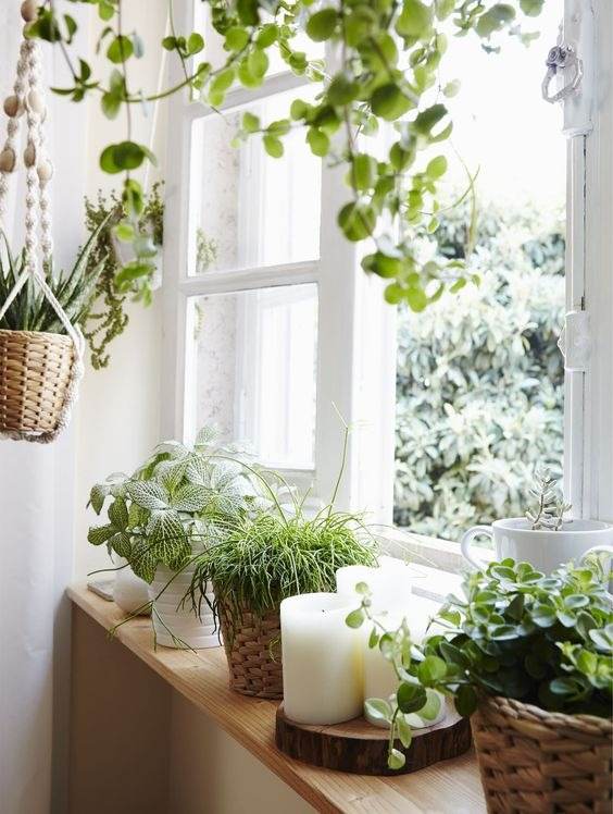 35 Inspiring Garden Ideas For Wannabe Plant Parents - 231